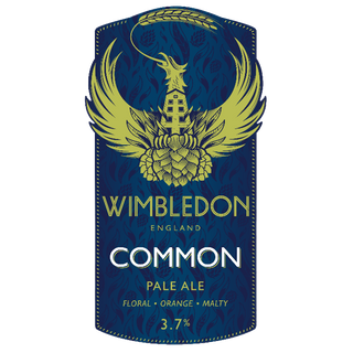Cask Ale Polypins